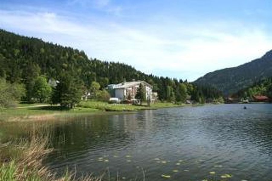 photo-0