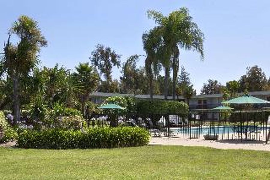 foto-1