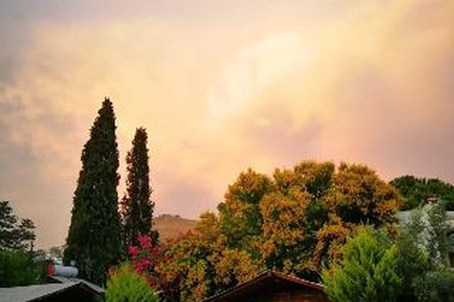 photo-2