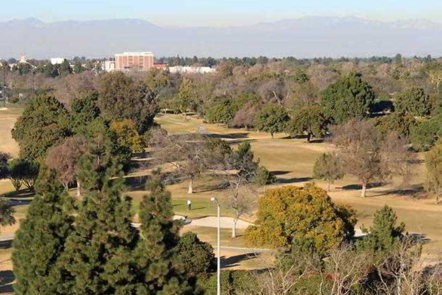 photo-3