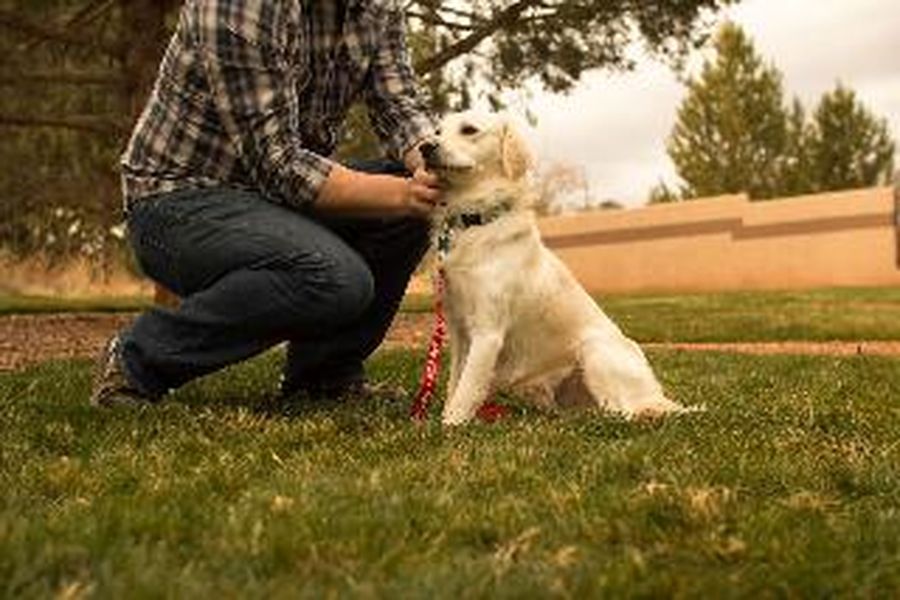 photo-3