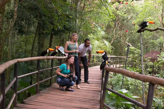Parque das Aves - Foz do Iguaçu