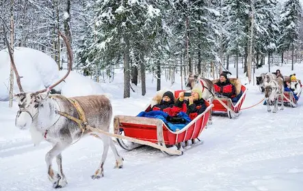 Experiência de visita à fazenda de renas em Rovaniemi