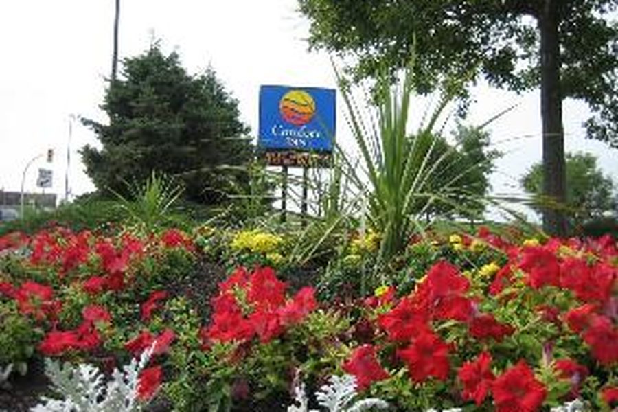 foto-1