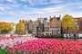 Flores de tulipa de primavera em Amsterdam