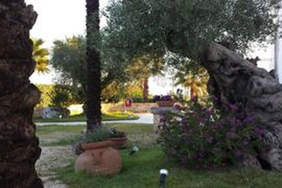 photo-2