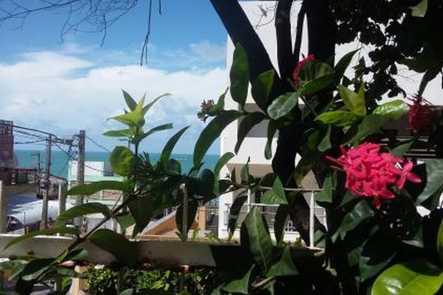 foto-3