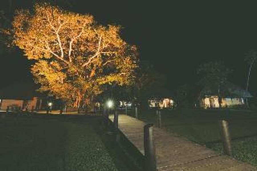 foto-3