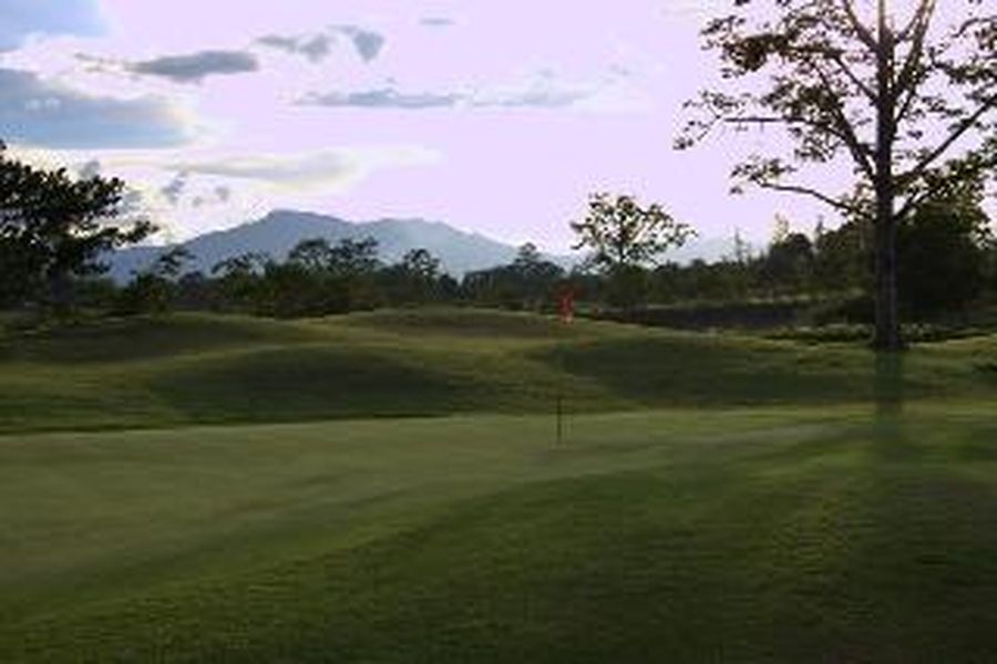 photo-3