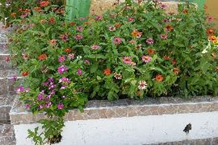 foto-2