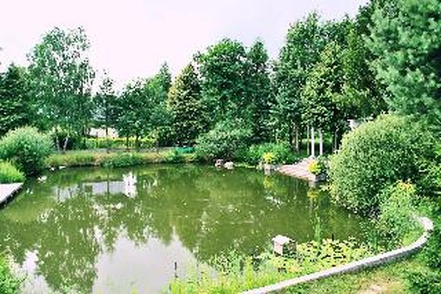 photo-3