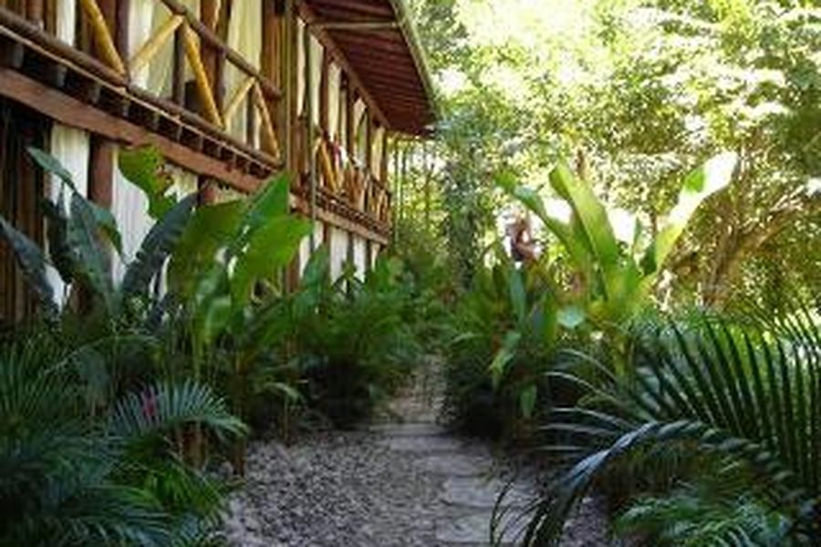 foto-1