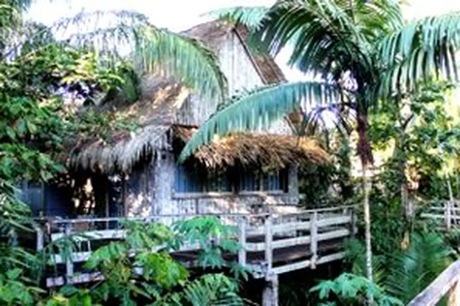 foto-1