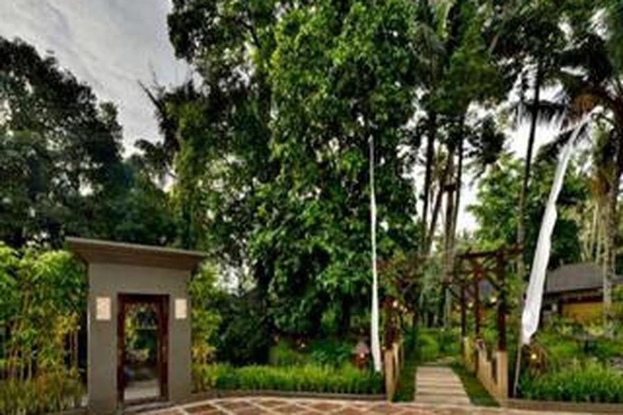 foto-2