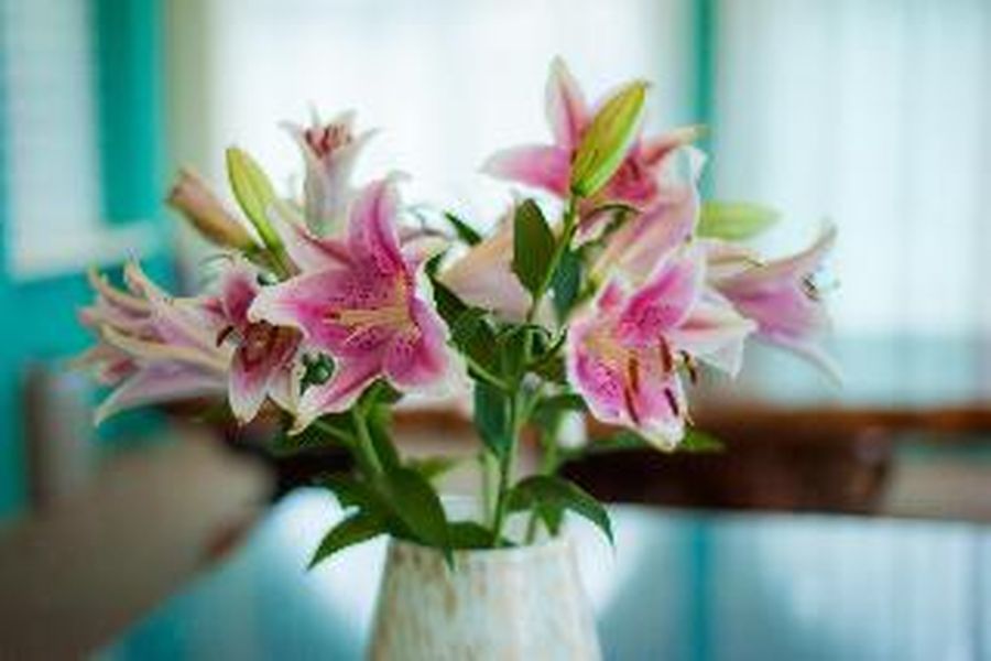 photo-2