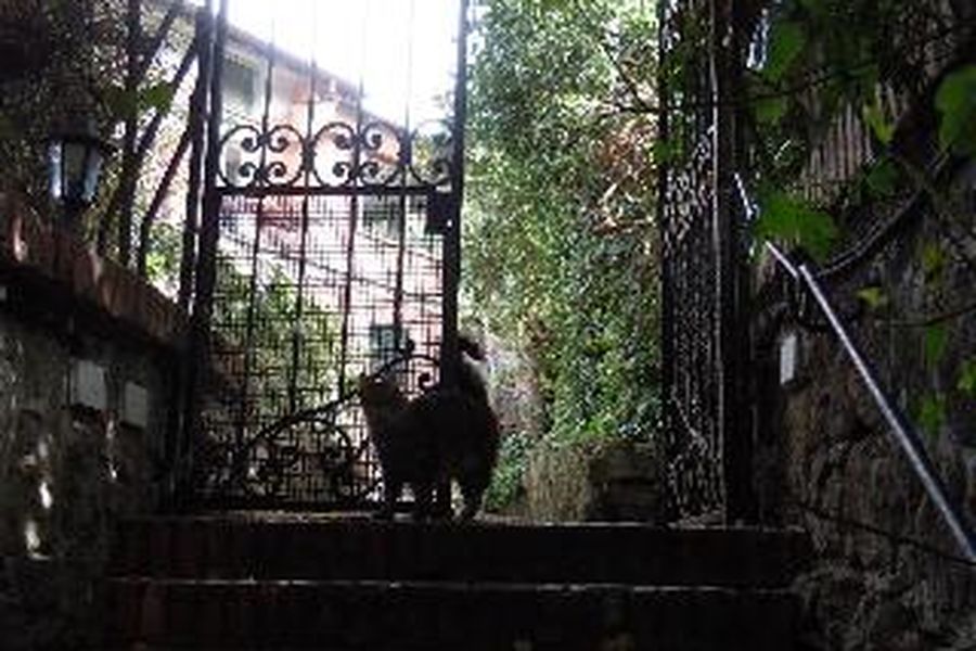 photo-3