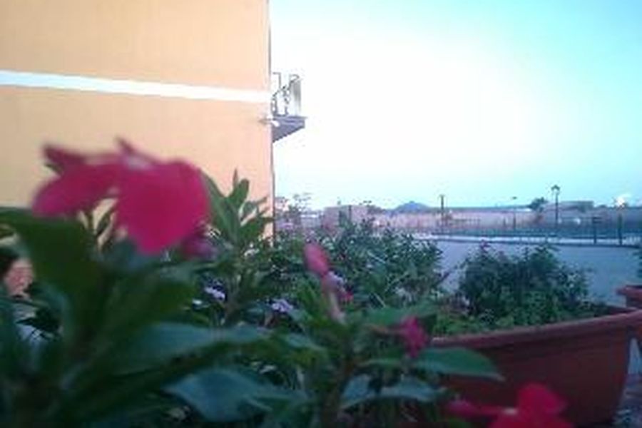photo-1