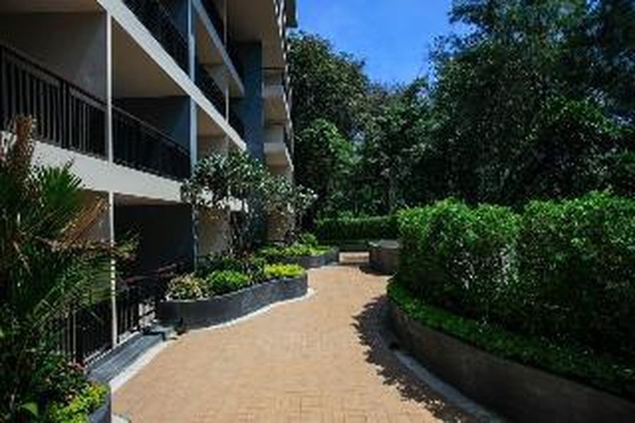 foto-3