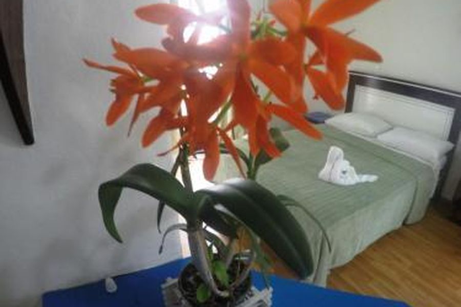 foto-3