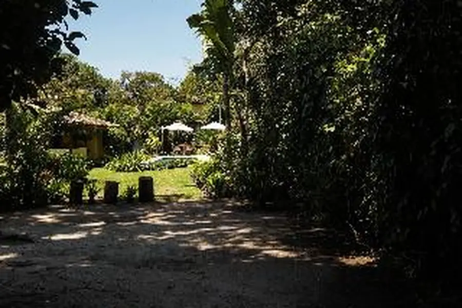 photo-1