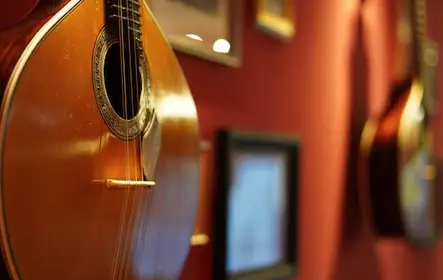 Lisboa: espectáculo de fado en Lisboa em Fado + vino de Oporto