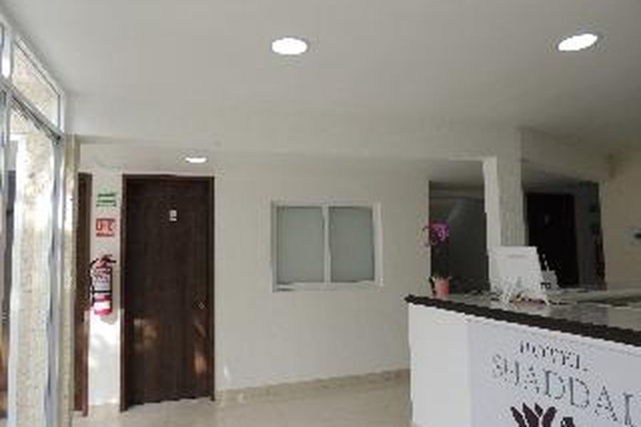 foto-1