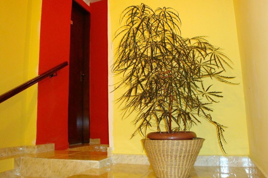 foto-1