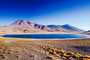Lago Miscanti - San Pedro de Atacama, Chile
