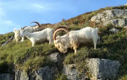 Snowdonia e o passeio pelos três castelos