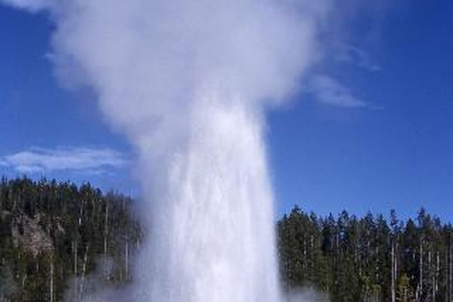 photo-1
