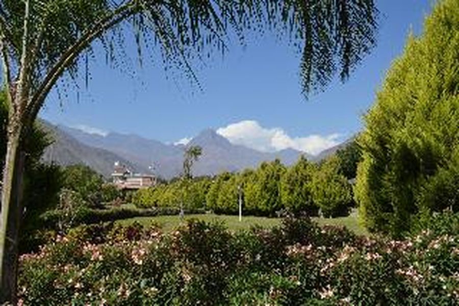 photo-3
