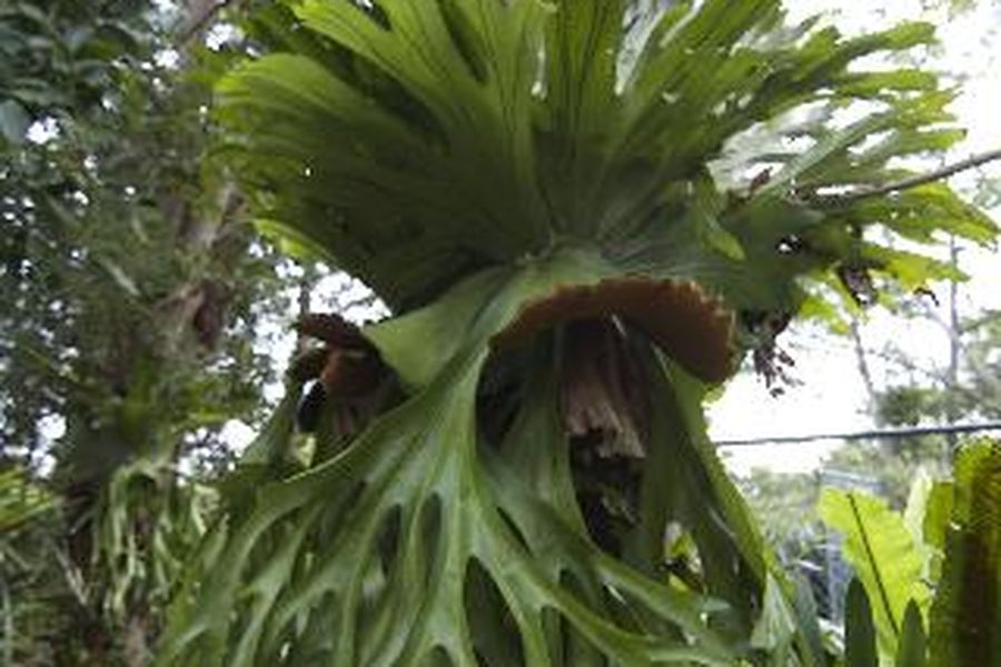 photo-2