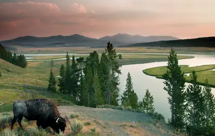 Yellowstone national park self-driving audio tour