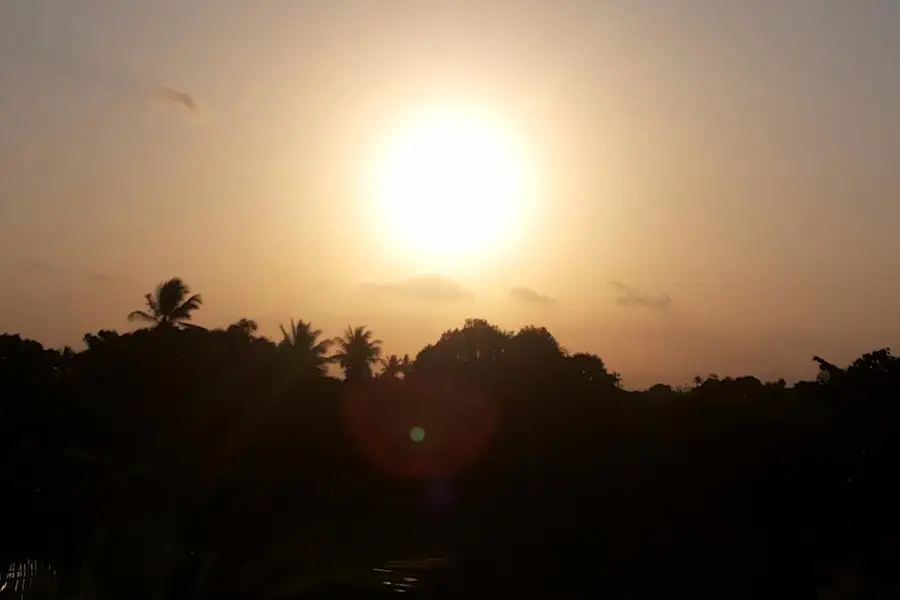 photo-2