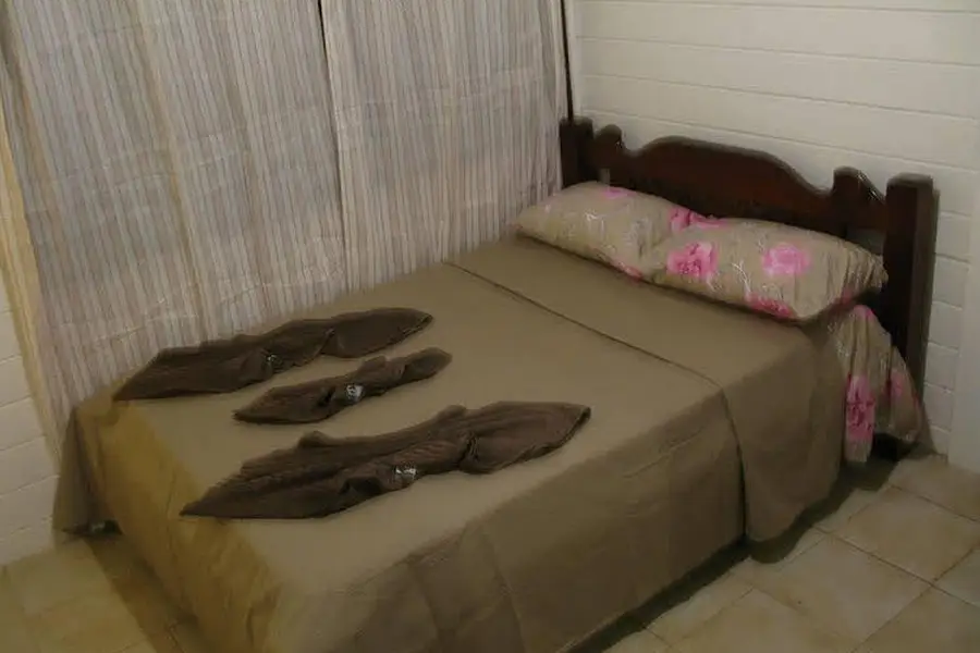 foto-1