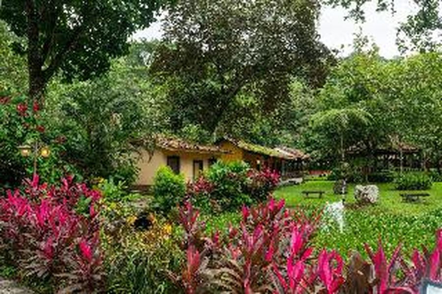 foto-3