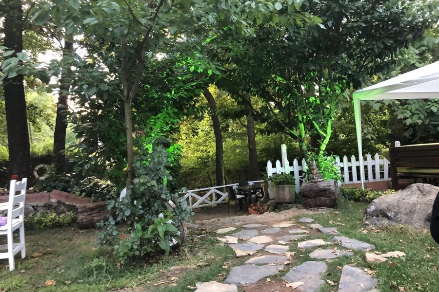 foto-1