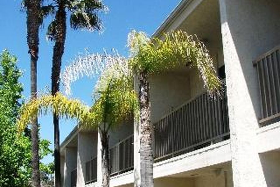 photo-3
