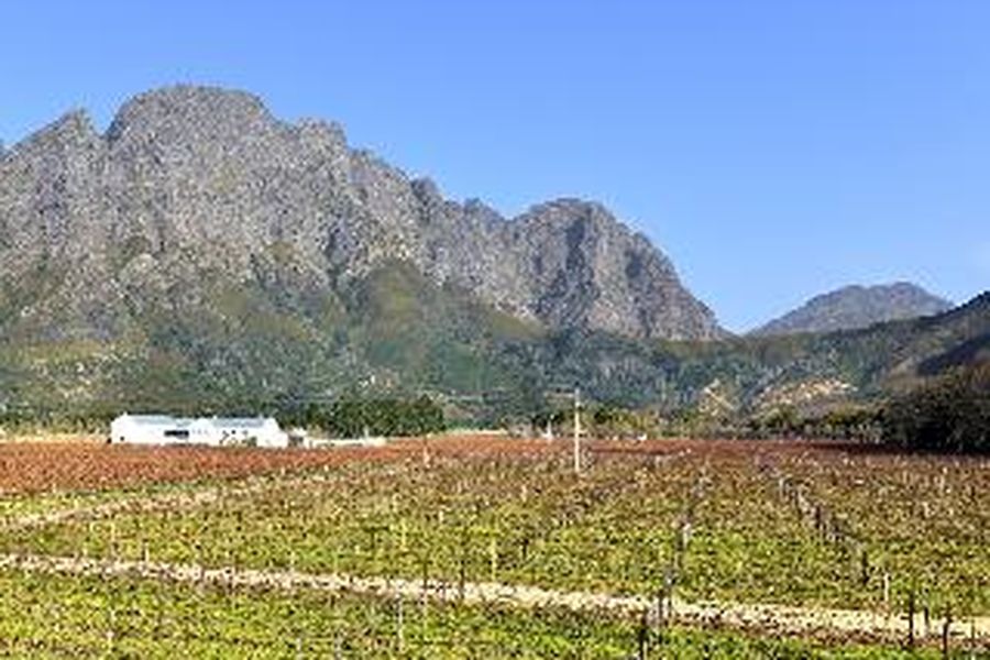 photo-2
