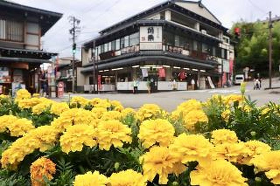 foto-1