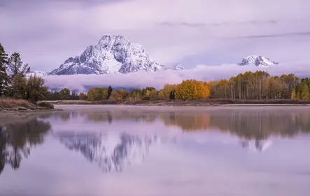 Safári ao nascer do sol da vida selvagem no inverno e na primavera saindo de Jackson Hole