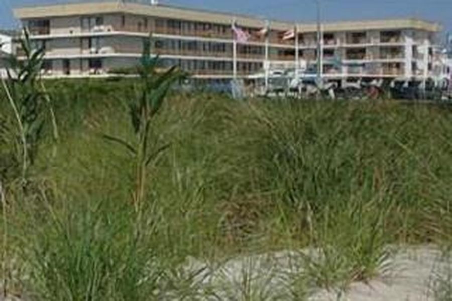 foto-2