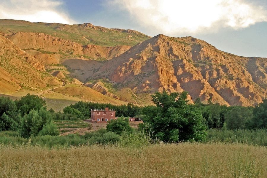 photo-0
