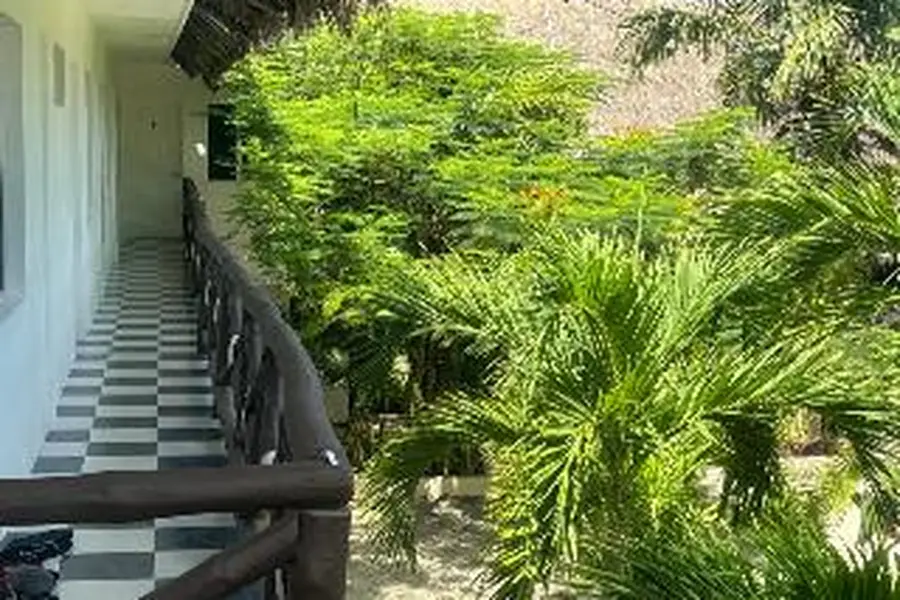 foto-2