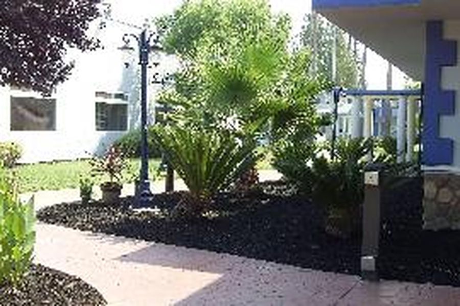 foto-3