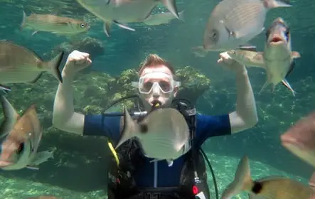 Marmaris Scuba Diving