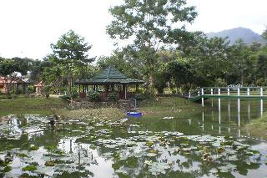 foto-1