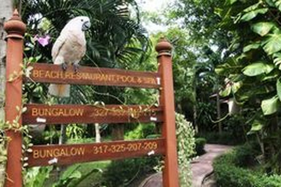 photo-2