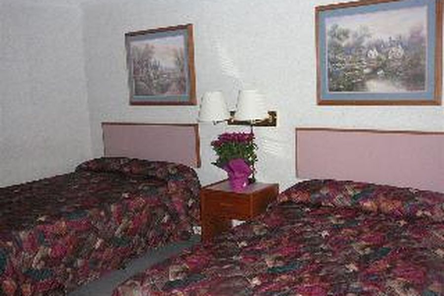 photo-3