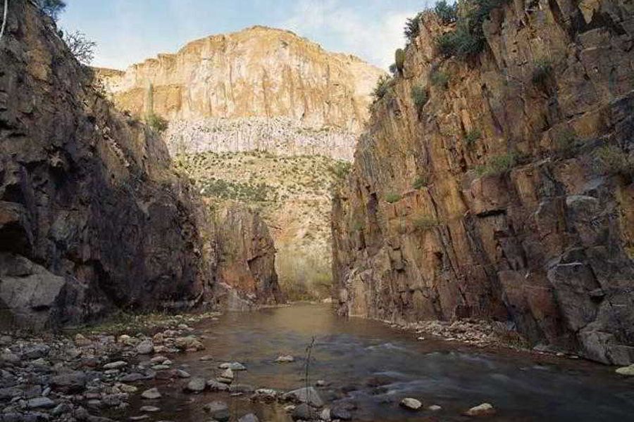photo-0